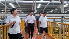 集团强大的分析实力取前瞻性的计谋